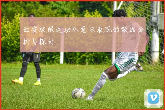 西安极限运动队意识表现的数据分析与探讨