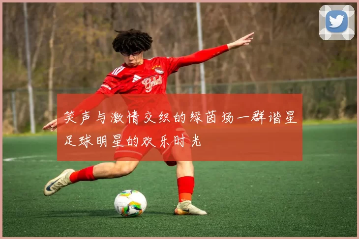 笑声与激情交织的绿茵场一群谐星足球明星的欢乐时光