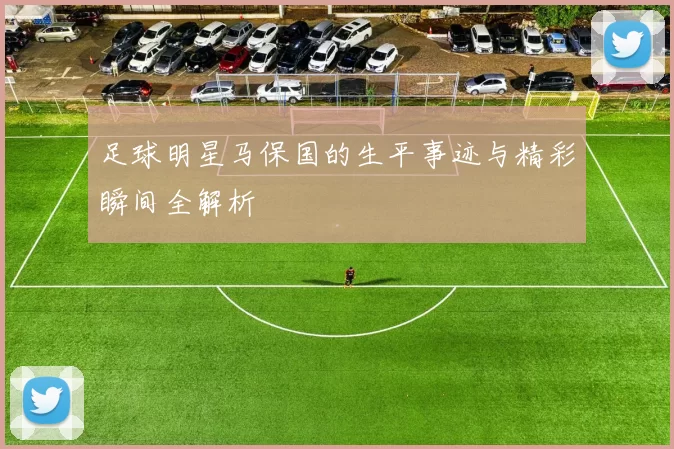 足球明星马保国的生平事迹与精彩瞬间全解析