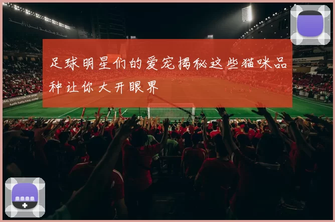 足球明星们的爱宠揭秘这些猫咪品种让你大开眼界