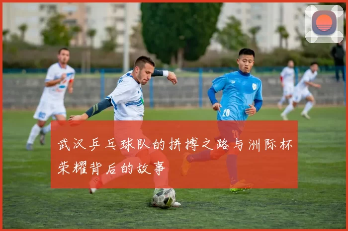 武汉乒乓球队的拼搏之路与洲际杯荣耀背后的故事