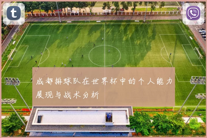 成都排球队在世界杯中的个人能力展现与战术分析