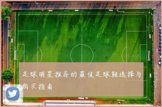 足球明星推荐的最佳足球鞋选择与购买指南