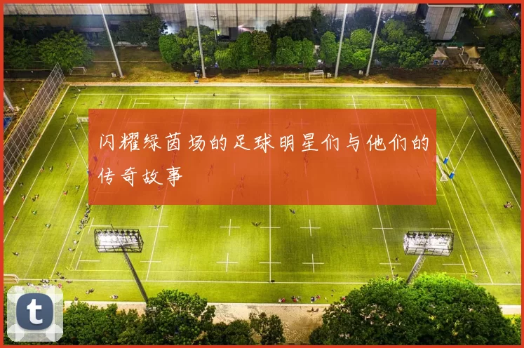闪耀绿茵场的足球明星们与他们的传奇故事
