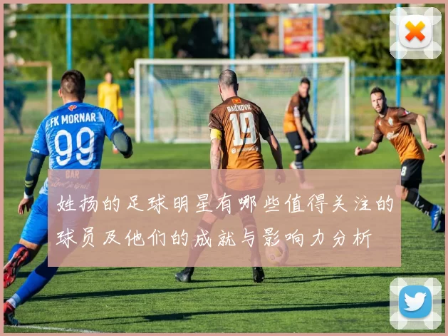 姓扬的足球明星有哪些值得关注的球员及他们的成就与影响力分析