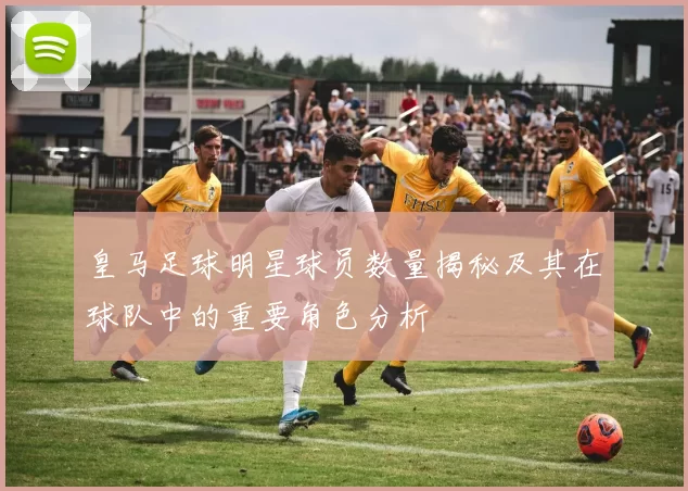 皇马足球明星球员数量揭秘及其在球队中的重要角色分析