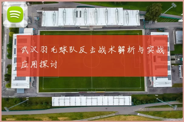 武汉羽毛球队反击战术解析与实战应用探讨