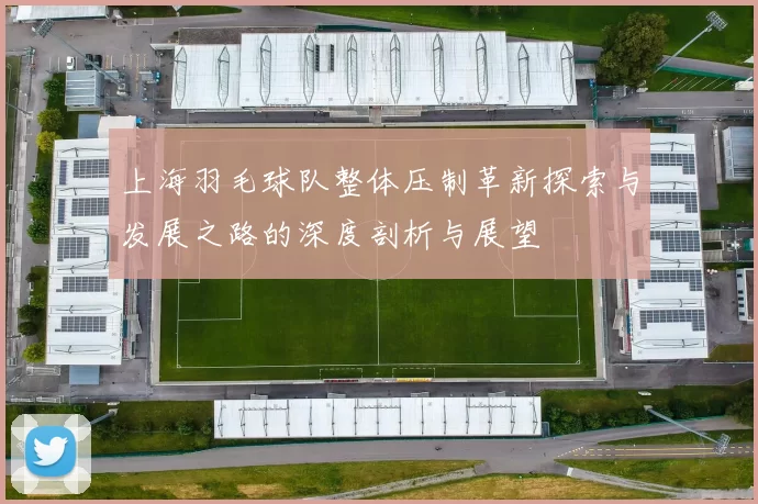 上海羽毛球队整体压制革新探索与发展之路的深度剖析与展望