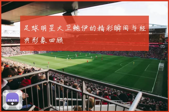 足球明星大卫鲍伊的精彩瞬间与经典形象回顾