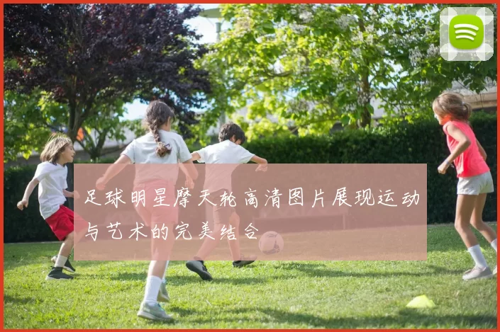 足球明星摩天轮高清图片展现运动与艺术的完美结合