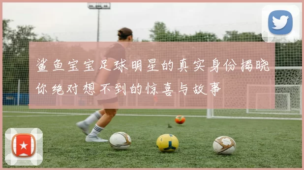 鲨鱼宝宝足球明星的真实身份揭晓你绝对想不到的惊喜与故事