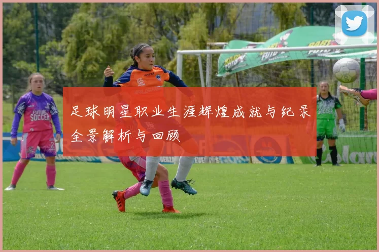 足球明星职业生涯辉煌成就与纪录全景解析与回顾