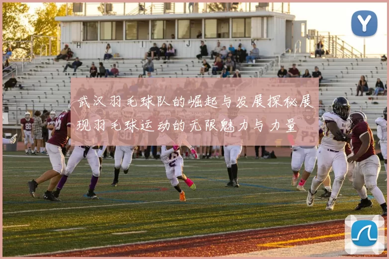 武汉羽毛球队的崛起与发展探秘展现羽毛球运动的无限魅力与力量
