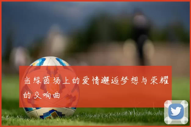 当绿茵场上的爱情邂逅梦想与荣耀的交响曲