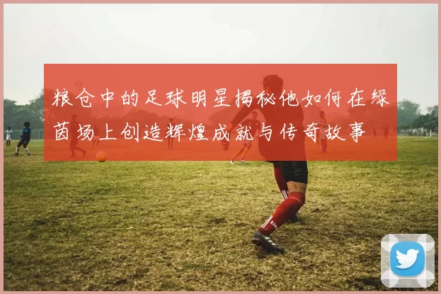 粮仓中的足球明星揭秘他如何在绿茵场上创造辉煌成就与传奇故事