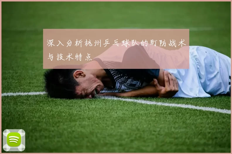 深入分析杭州乒乓球队的盯防战术与技术特点