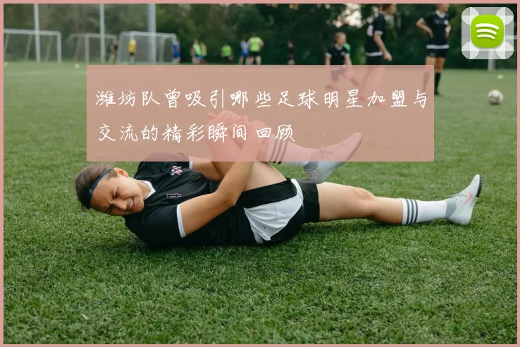 潍坊队曾吸引哪些足球明星加盟与交流的精彩瞬间回顾