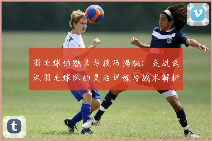 羽毛球的魅力与技巧揭秘：走进武汉羽毛球队的灵活训练与战术解析