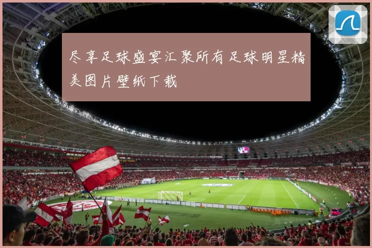 尽享足球盛宴汇聚所有足球明星精美图片壁纸下载
